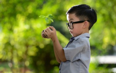 ¿Qué plantar y cuándo? Saca el máximo potencial de tu huerto urbano con los calendarios de siembra